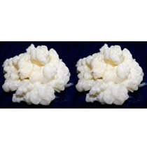 Pack 2x 40g de Granules de Kéfir de Lait