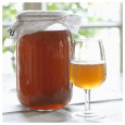 Pack 2x Disque SCOBY Kombucha