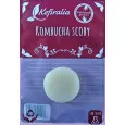 Disque SCOBY Kombucha