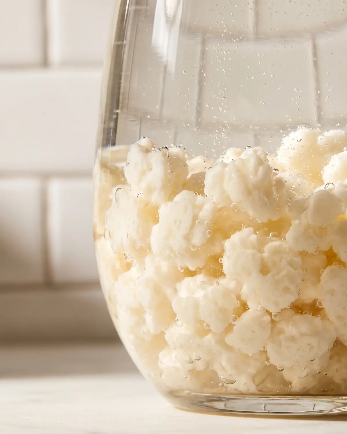 Bulles fines autour de grains de k&eacute;fir dans un verre courbe, devant un fond de carrelage blanc.