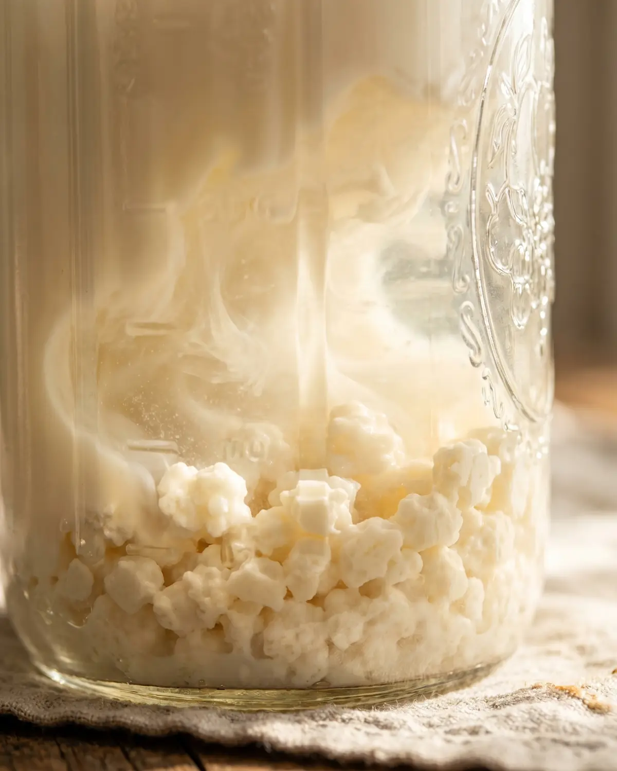 Gros plan de grains blanc cr&egrave;me au fond d&rsquo;un bocal, entour&eacute;s de lait translucide en fermentation.