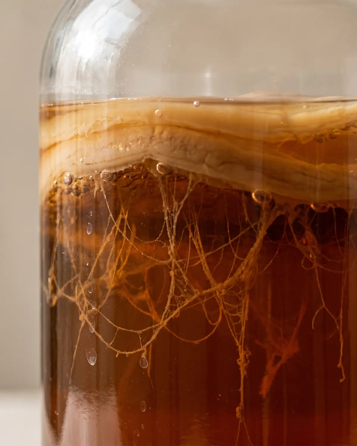 Filaments bruns de levures suspendus sous le SCOBY dans un bocal de kombucha &eacute;clair&eacute; de c&ocirc;t&eacute;.