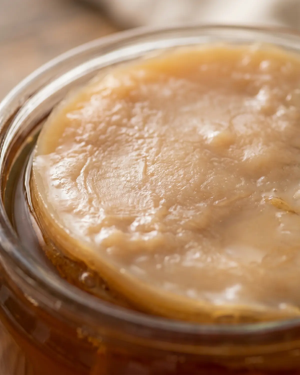 kombucha danger Gros plan sur la texture beige et brune d’un SCOBY de kombucha, avec reliefs et surface gélatineuse.