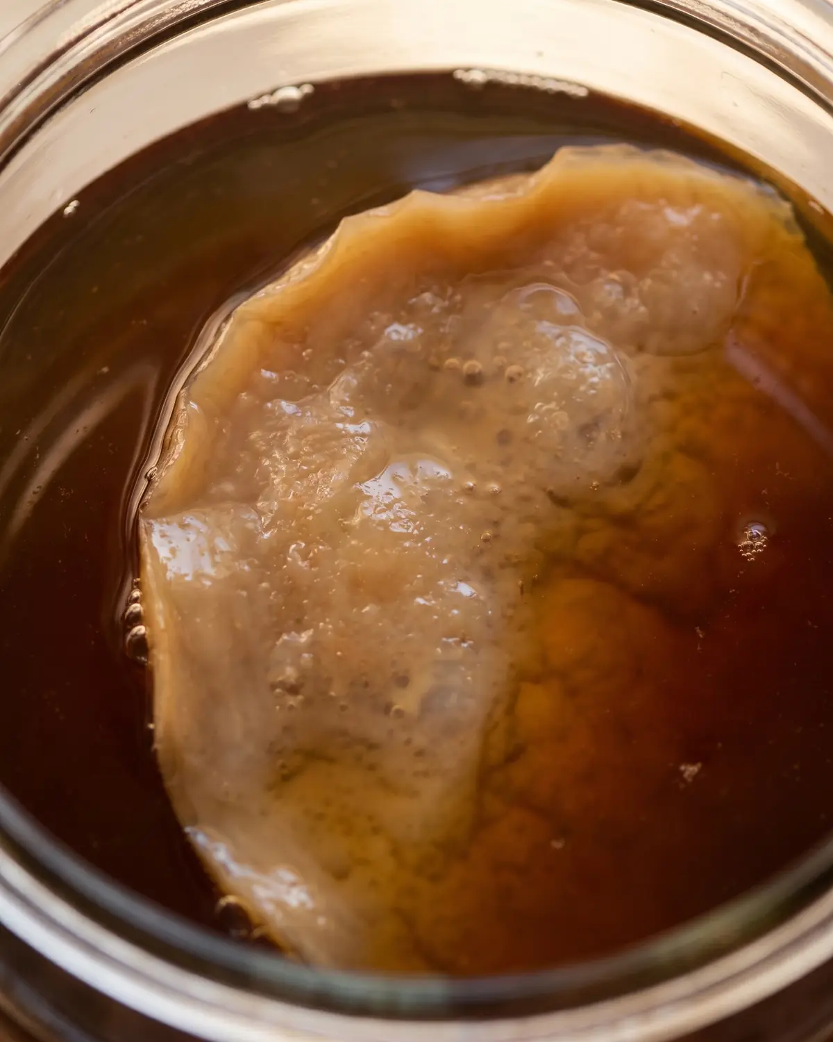 SCOBY fin aux bords irr&eacute;guliers flottant dans un th&eacute; sombre, vu verticalement depuis le dessus.