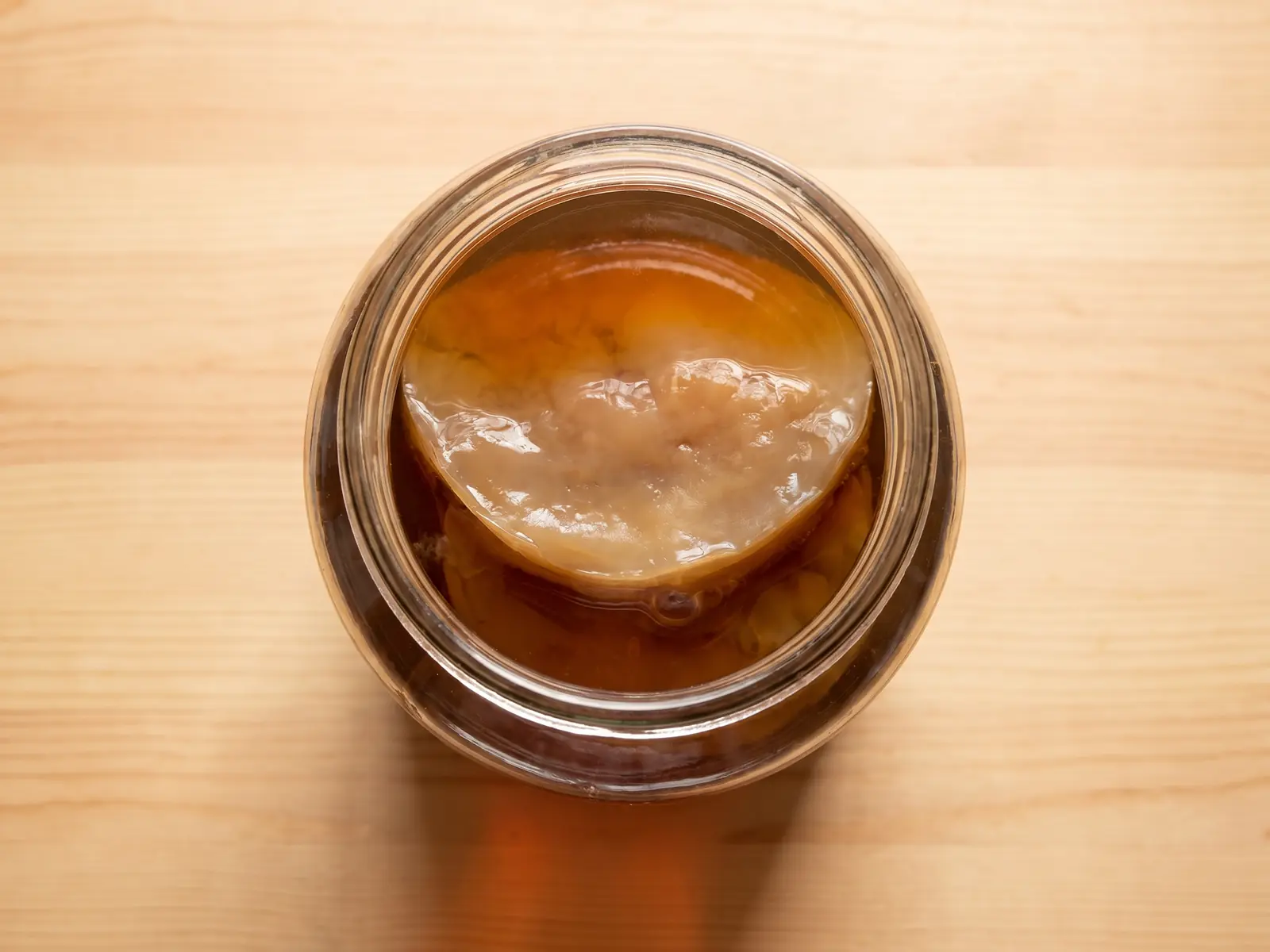 Vue de dessus d&rsquo;un bocal de kombucha avec un SCOBY beige flottant dans un th&eacute; sombre.